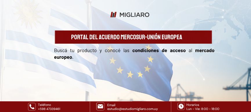 Portal del Acuerdo Mercosur–Unión Europea: nueva herramienta para empresas exportadoras